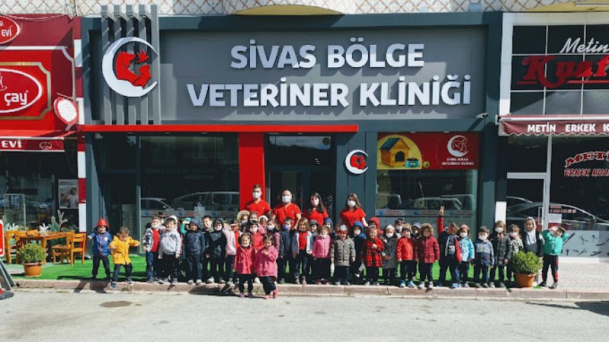 Sivas Bölge Veterinerliği: Hayvan Sağlığının Merkezi